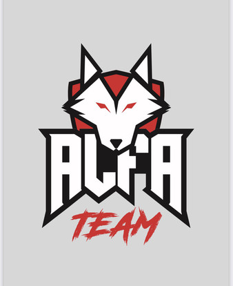 Alfa Team