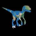 Raptor_Earth_