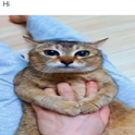 Anyjoel