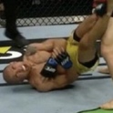 FightConnoiseur