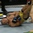 FightConnoiseur
