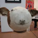 CircleCow04