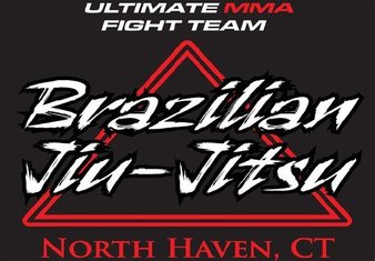 Ultimate MMA