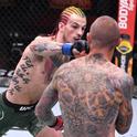 DdogMMA