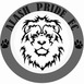 APFC - Alash Pride FC APFC