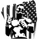 American Mixed Martial Arts Fight League