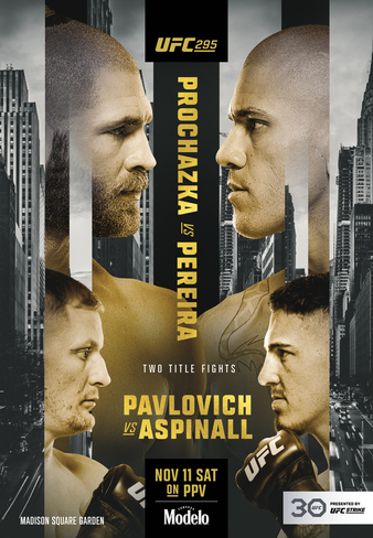 UFC 295
