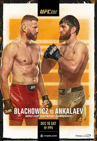 UFC 282
