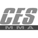 CES